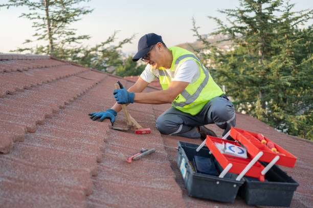 Best Roofing Contractors for Homes  in Johnson City, TN
